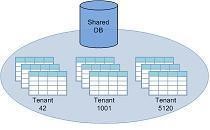 Shared database and Schema